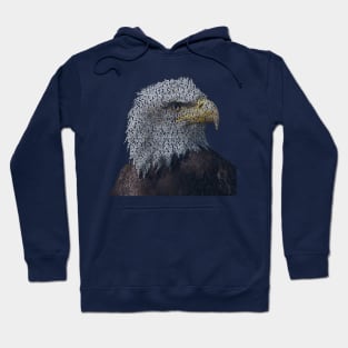 Bald Eagle Info Graphic Hoodie